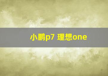 小鹏p7 理想one